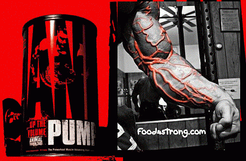 Universal Nutrition Animal Pump